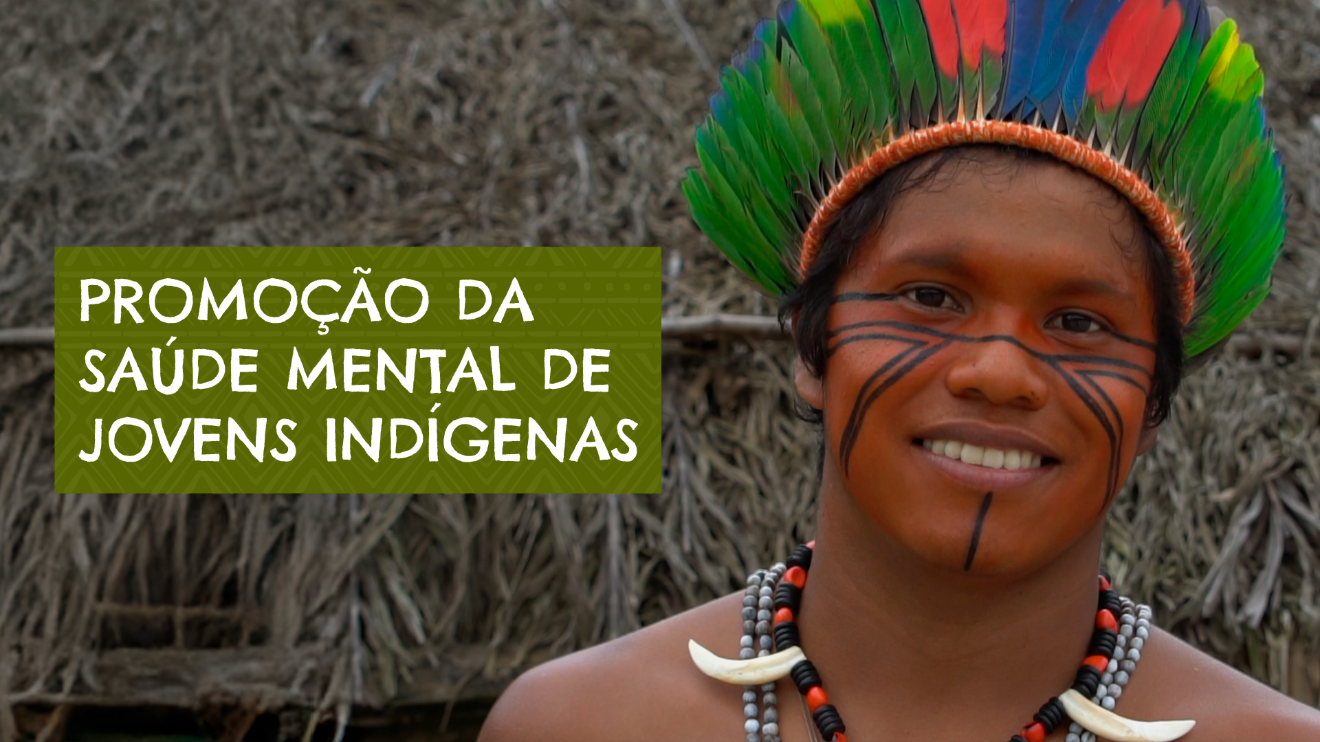 Promoção da Saúde Mental de Jovens Indígenas