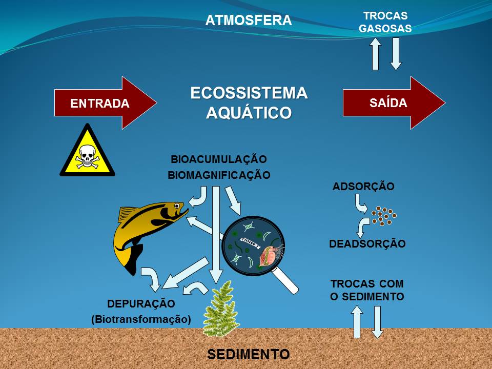 Ecotoxicologia Aquática