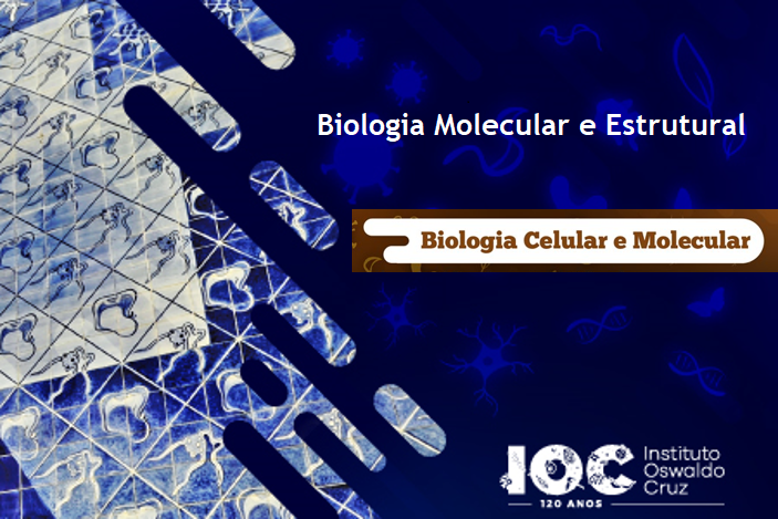 Biologia Molecular e Estrutural 